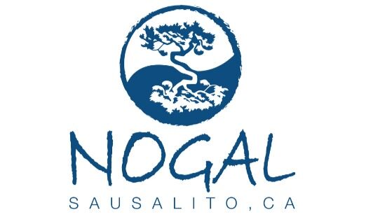 Team Nogal – Logo